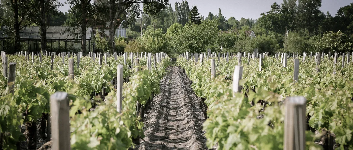 bdx 2023 header