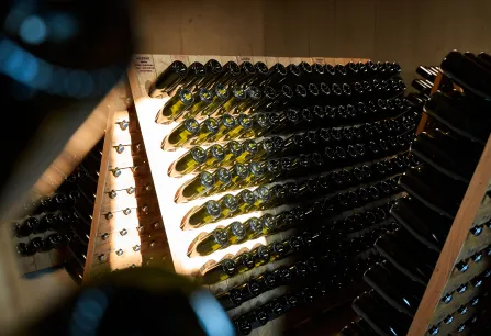 Weinflaschen lagern in hölzernen Racks, beleuchtet von einem warmen, diagonalen Lichteinfall.