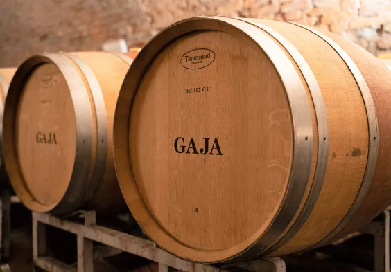 Gaja Faesser