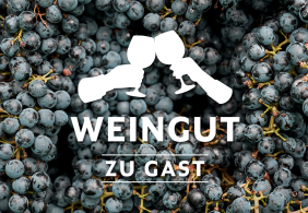 Nahe Ansicht von dichten, dunkelblauen Weintrauben mit eingeblendetem Grafiktext.