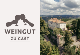 WZG castello di perno