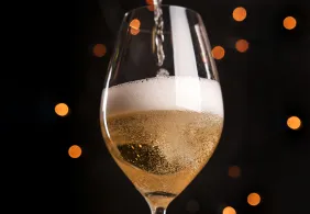 schaumwein header themenverkostung