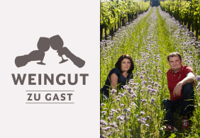 Zwei Personen sitzen in einem blühenden Lavendelfeld im Weinberg.