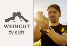 Person inspiziert Trauben im Sonnenlicht; daneben Weingut-Logo mit zwei anstoßenden Gläsern.