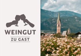 Links stilisierte Weingläser, rechts Kirchturm vor Bergkulisse, Blumen im Vordergrund.