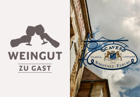 Logo mit stilisierten Weingläsern links, elegantes Weingutsschild rechts, blauer Himmel.