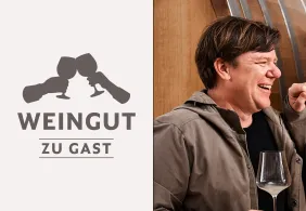 wzg wohlmuth