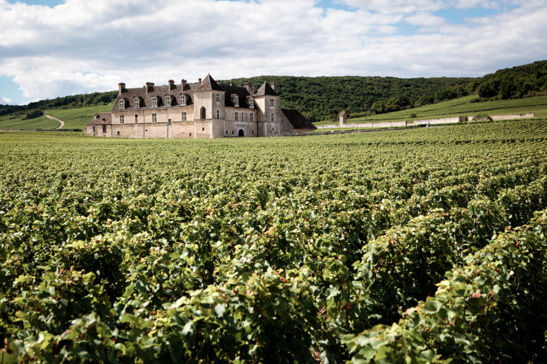 Weingut im Vordergrund, Schloss im Hintergrund, umgeben von grünen Hügeln und blauem Himmel.