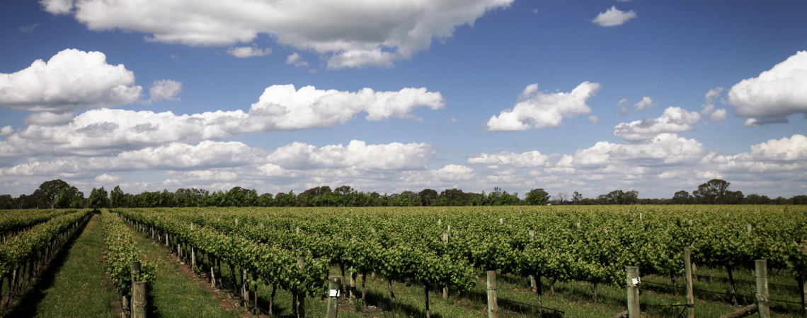 Coonawarra
