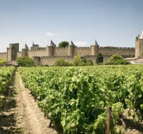 Languedoc2