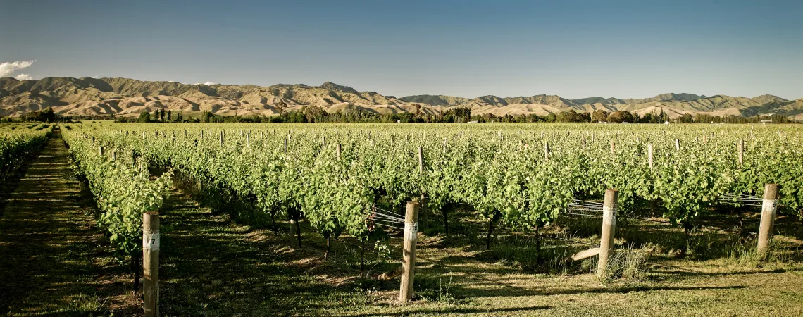 Marlborough.jpg
