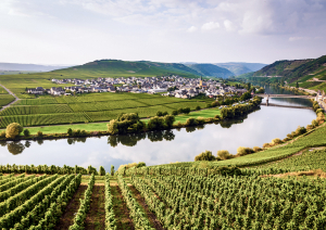 Panorama einer idyllischen Weinlandschaft am Fluss, umgeben von grünen Hügeln und Dörfern.