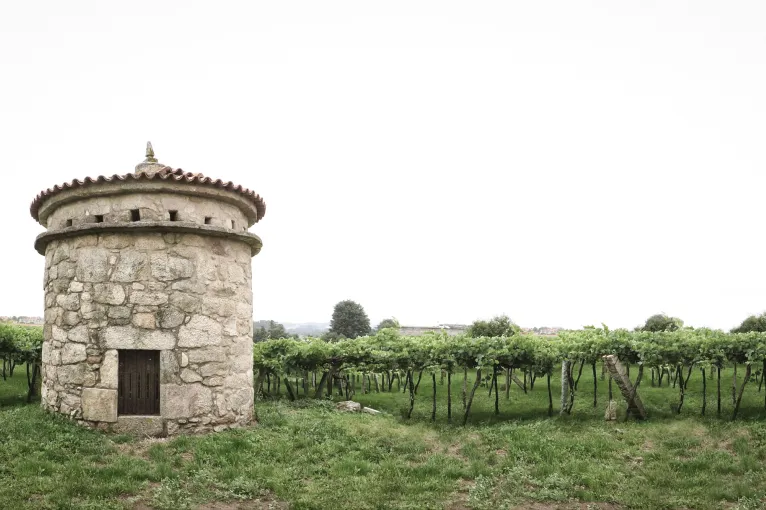 Rias-Baixas.jpg