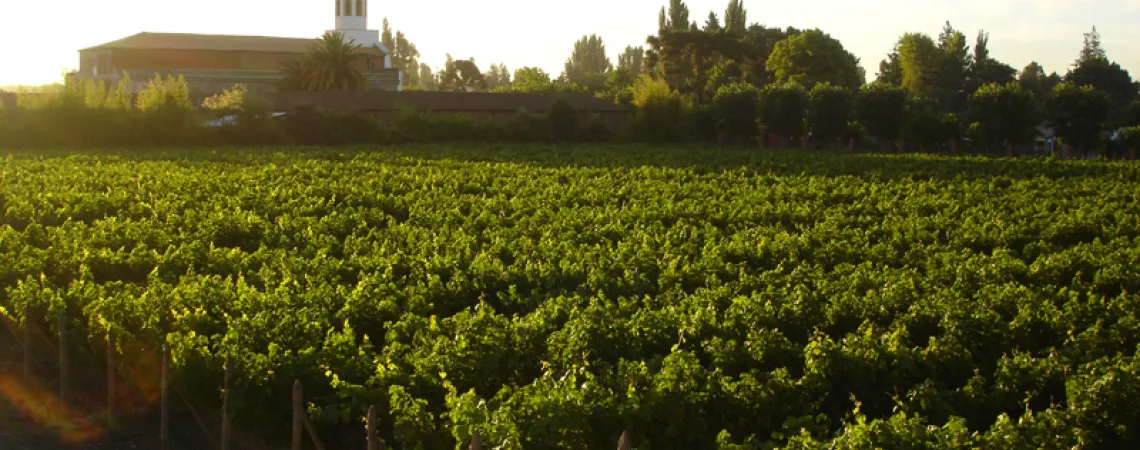 SherryRutadelVino.jpg