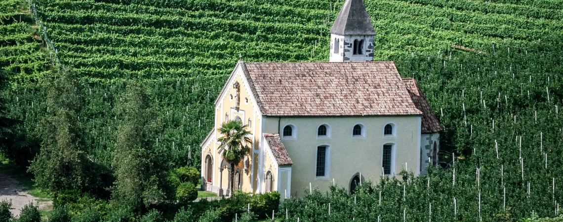 Gelbe Kirche mit rotem Dach vor üppigen, grünen Weinhängen.