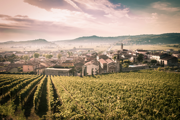 Idyllische Landschaft mit Weinbergen und malerischem Dorf im Sonnenuntergang.
