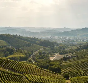 barbaresco 2022 header
