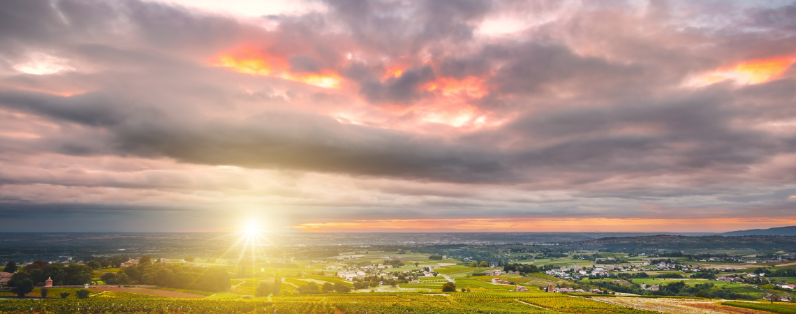 beaujolais