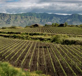 etna rosso