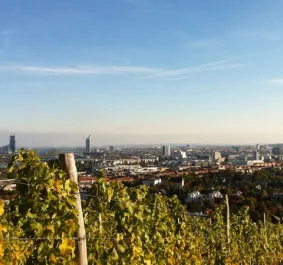 lenikus_weingut.jpg