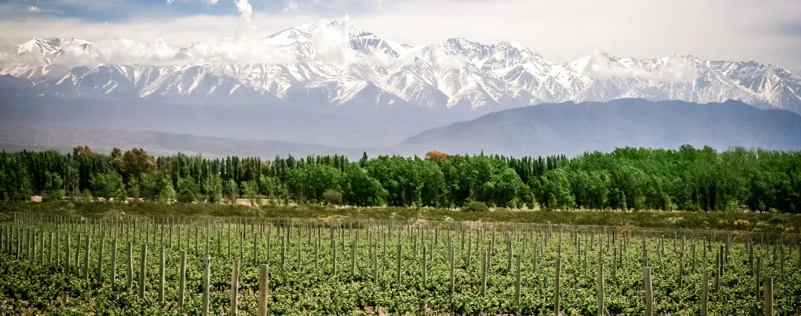 Mendoza.jpg
