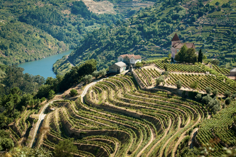 Terrassierte Weinberge mit Flussblick, umgeben von üppigem Grün und Häusern.