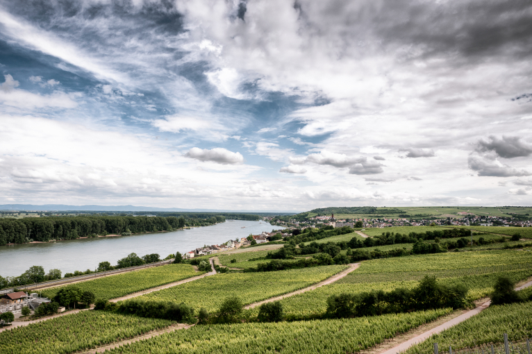 Weinberge überblicken Flusslandschaft bei teils bewölktem Himmel.