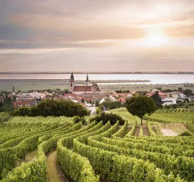 ried plachen rust leithaberg burgenland