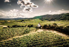 Weinberge mit kleiner Kapelle, umgeben von grünen Hügeln unter strahlendem Sonnenschein.