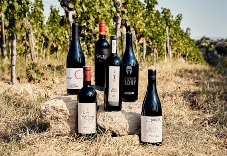 Burgenland header 2024