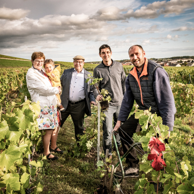 Familie steht lächelnd in einem grünen Weinberg unter bewölktem Himmel.