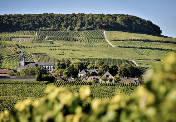 Grosse Champagner Impressionen 2