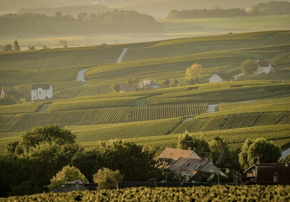 Grosse Champagner Impressionen 5