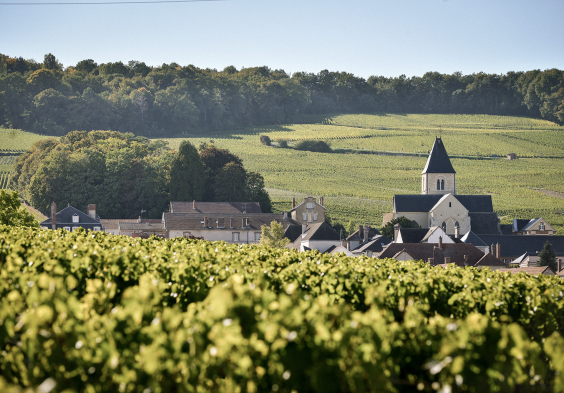 Grosse Champagner Impressionen 6