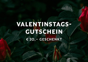 Rote Rosen mit dunklen Blättern vor schwarzem Hintergrund.