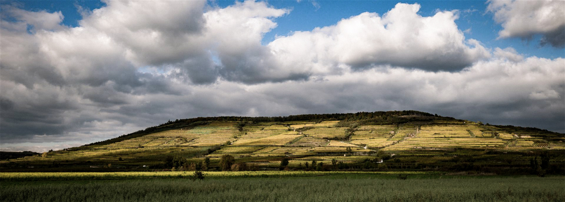 Hügelige Landschaft mit terrassierten Weinbergen unter bewölktem Himmel.