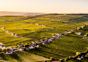 © ÖWM Robert Herbst