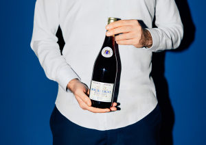 Pinot noir simonnet febvre