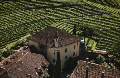 Suedtirol drone waldgries zulupictures