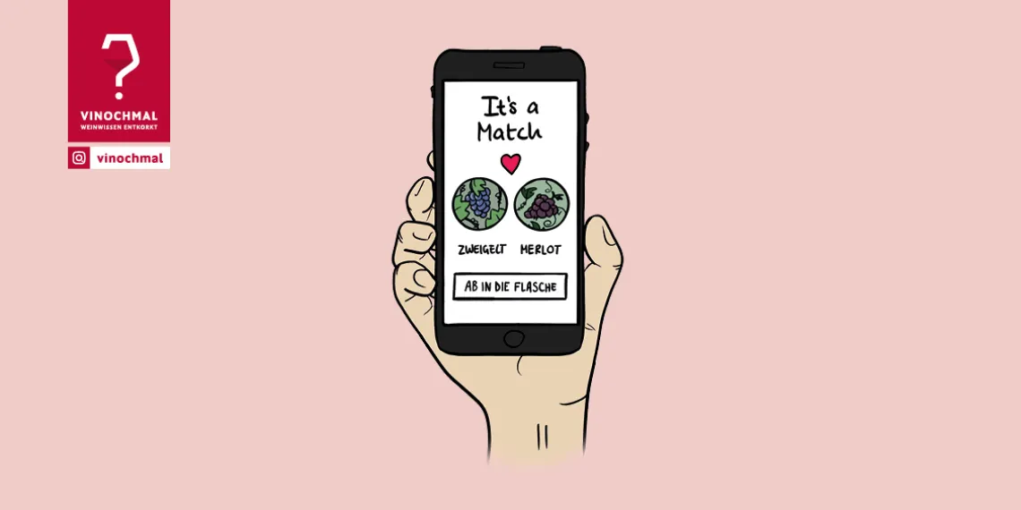 Hand hält Smartphone mit Wein-Matching-App auf rosafarbenem Hintergrund.