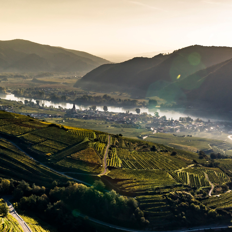 Vinous Top Bewertungen Niederoesterreich 2025