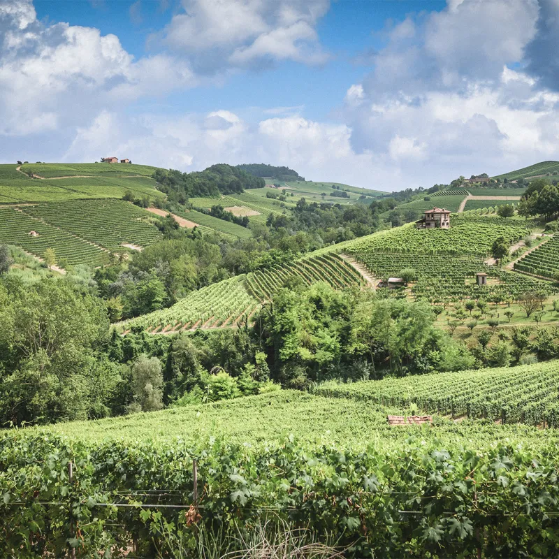 barolo landschaft 2000px