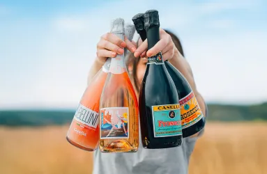 Drei Sektflaschen werden in einer Landschaft von einer Person gehalten.
