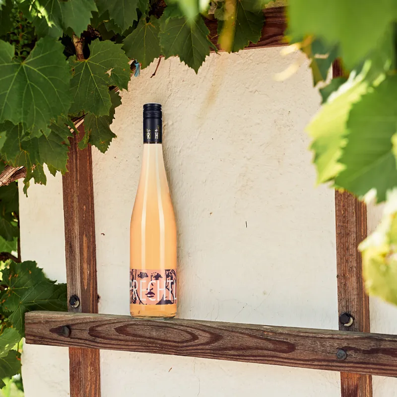 drink pink prechtl