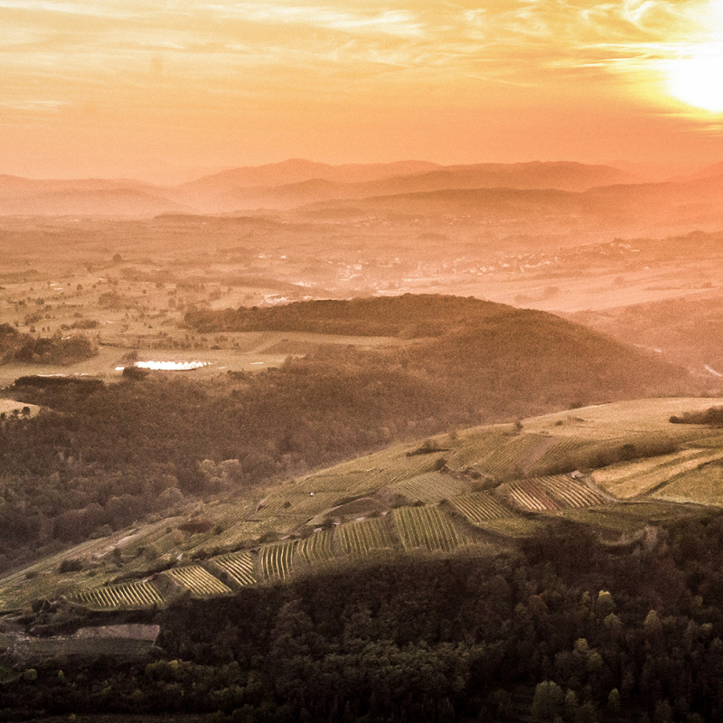 erste lage kamptal loiserberg 2000x1000 lp