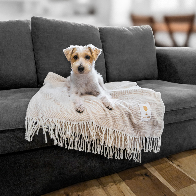 gratisbeigabe kuscheldecke header