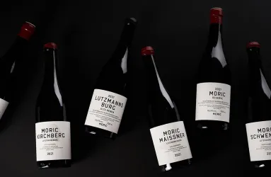 Sechs Weinflaschen vor schwarzem Hintergrund, etiketiert in elegantem, minimalistischen Design.