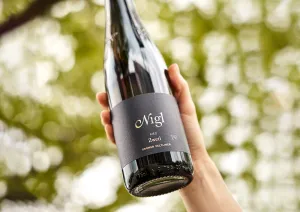 Flasche mit schwarzem Etikett vor verschwommenem, grünem Hintergrund.