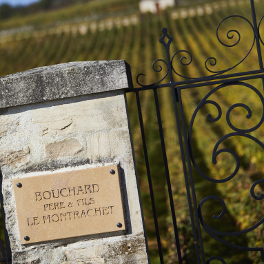 Steintafel mit Eisenzaun vor einem weitläufigen Weinberg.