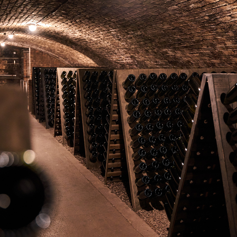 schaumwein aktion 2023